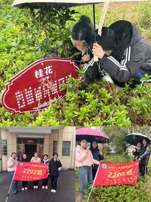 岳陽市江南通信職業(yè)技術(shù)學校有限公司,岳陽江南學校,岳陽江南通信學校,岳陽職業(yè)學校